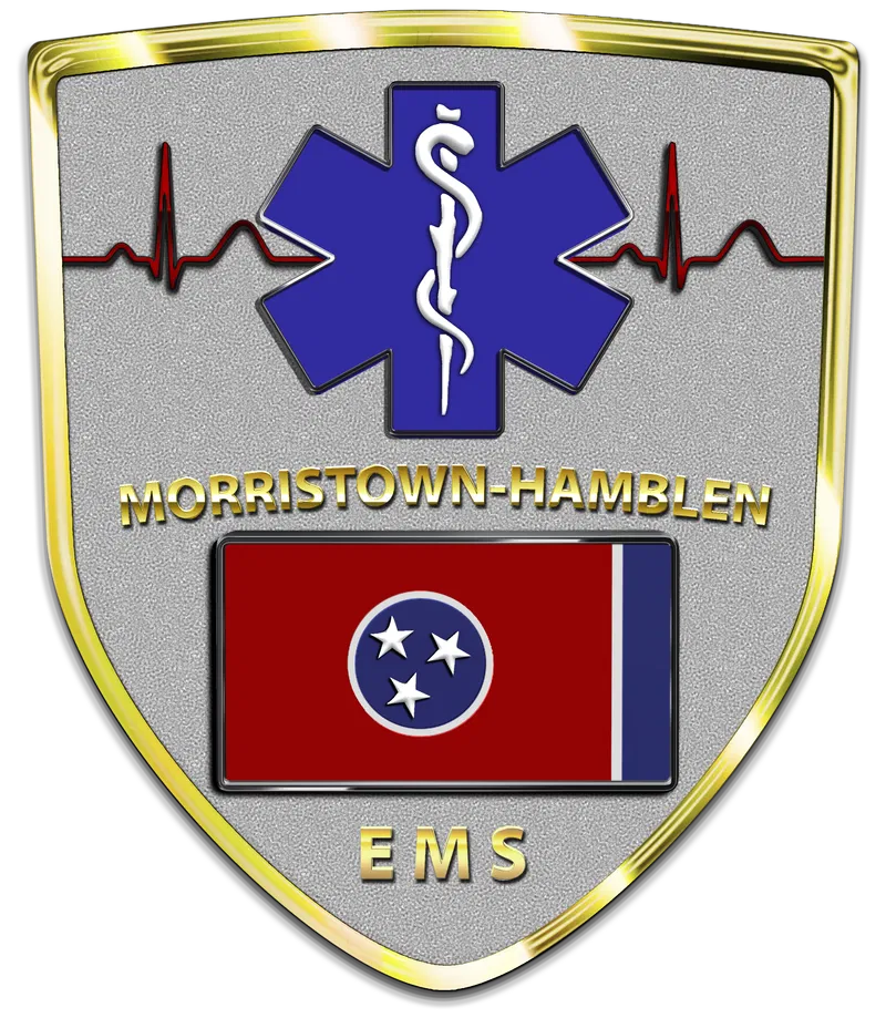MHEMS Logo
